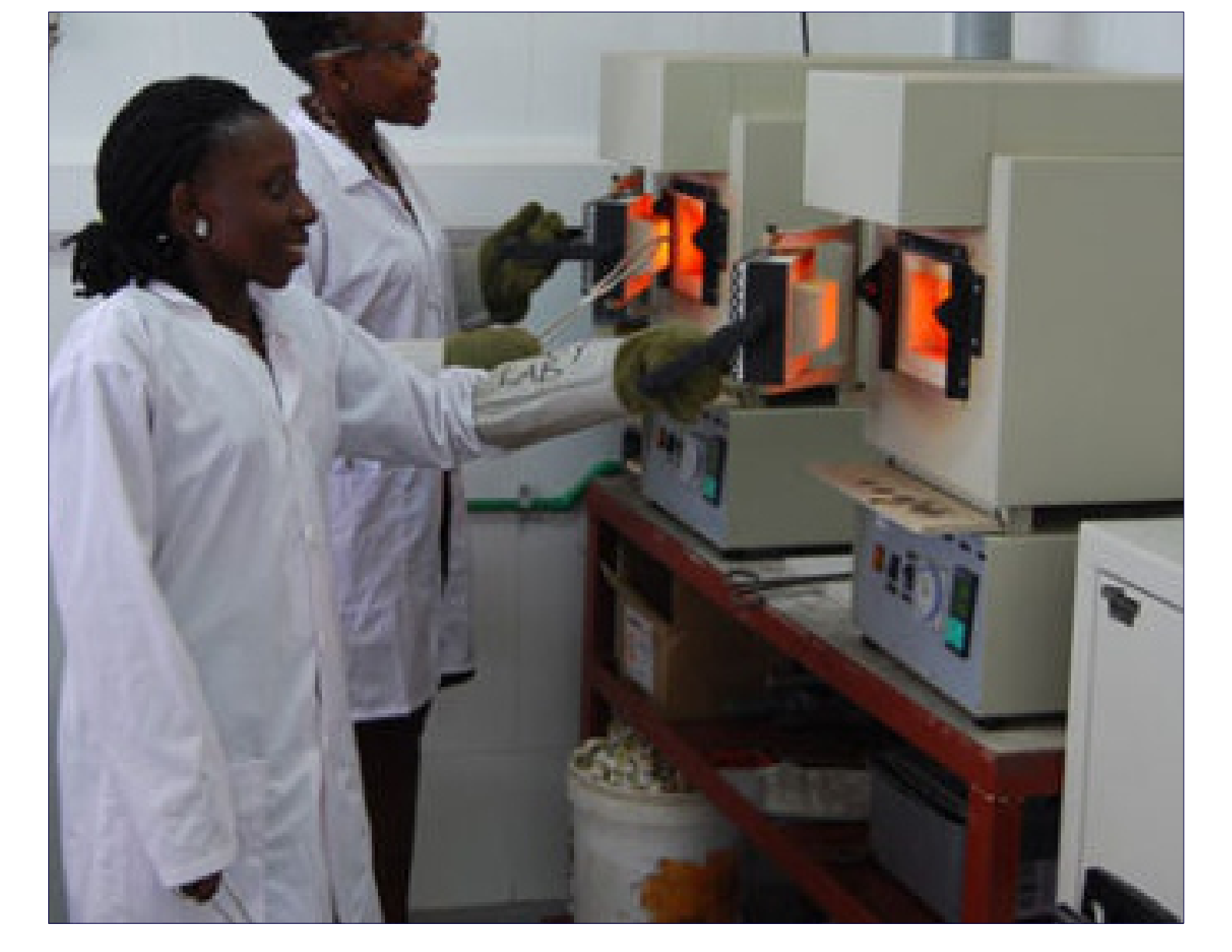 Laboratory capacity evaluation visual